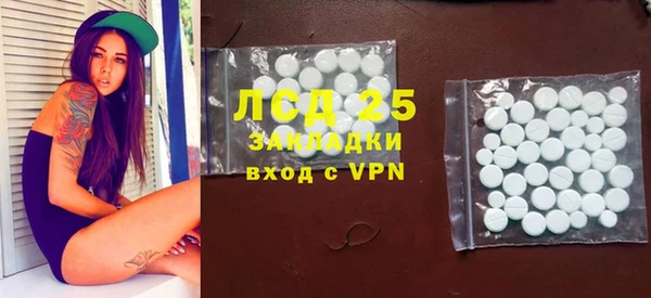 шишки Тутаев
