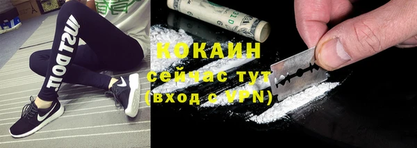 шишки Тутаев