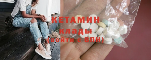 шишки Тутаев
