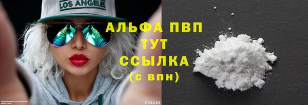 шишки Тутаев