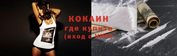 шишки Тутаев