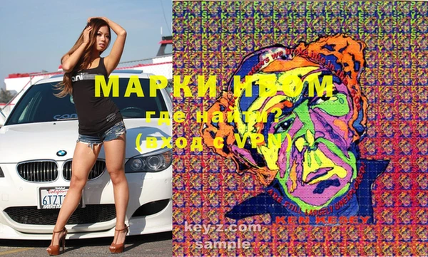 шишки Тутаев