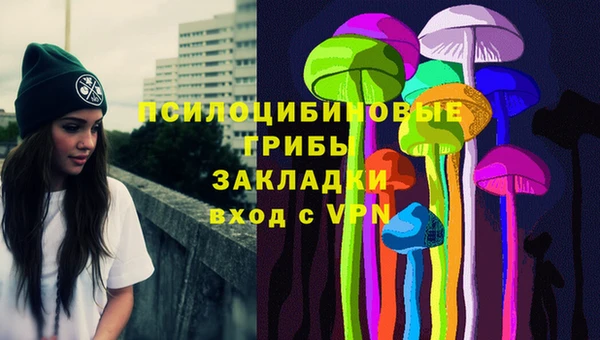 бошки Туринск