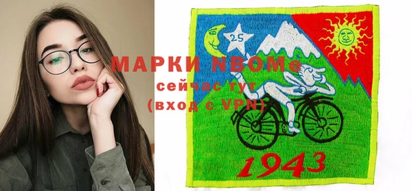 шишки Тутаев