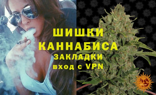 шишки Тутаев