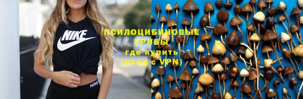 MESCALINE Тында
