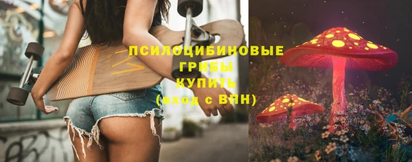 бошки Туринск