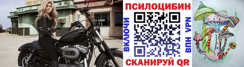 купить закладку Щёкино Псилоцибиновые грибы Cubensis